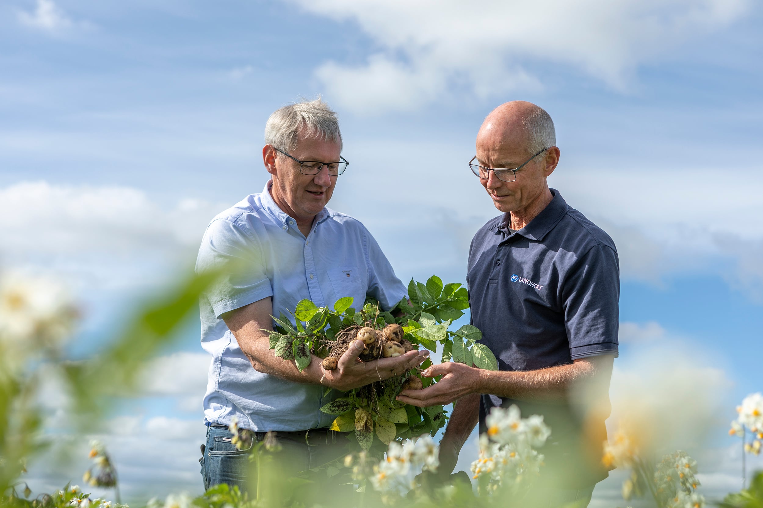 Konsulent og landmand vurderer kartofler på marken Konsulent og landmand vurderer kartofler på marken